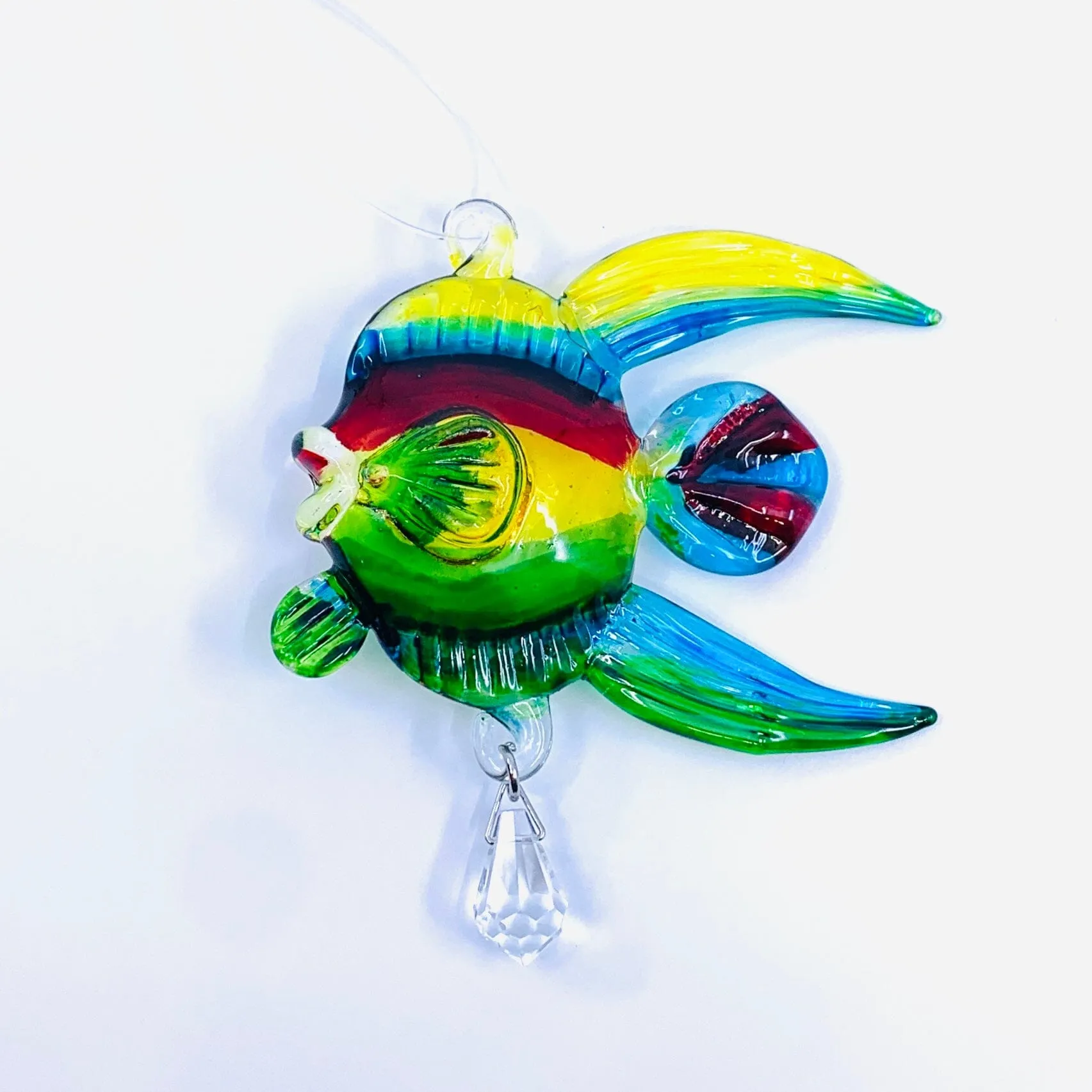 Dazzle Glass Fish, Multi 9