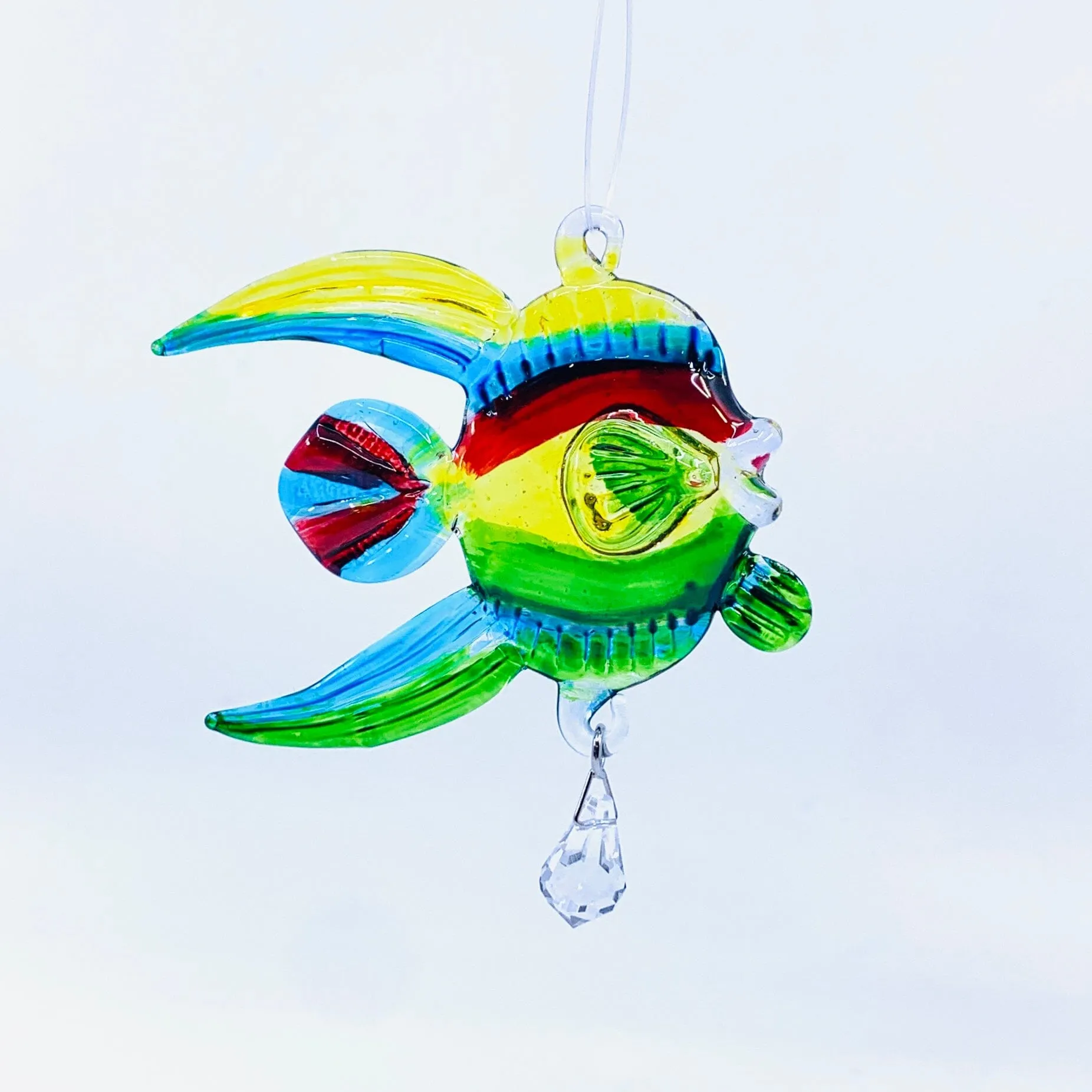 Dazzle Glass Fish, Multi 9